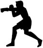 ボクシング　格闘技　スポーツ